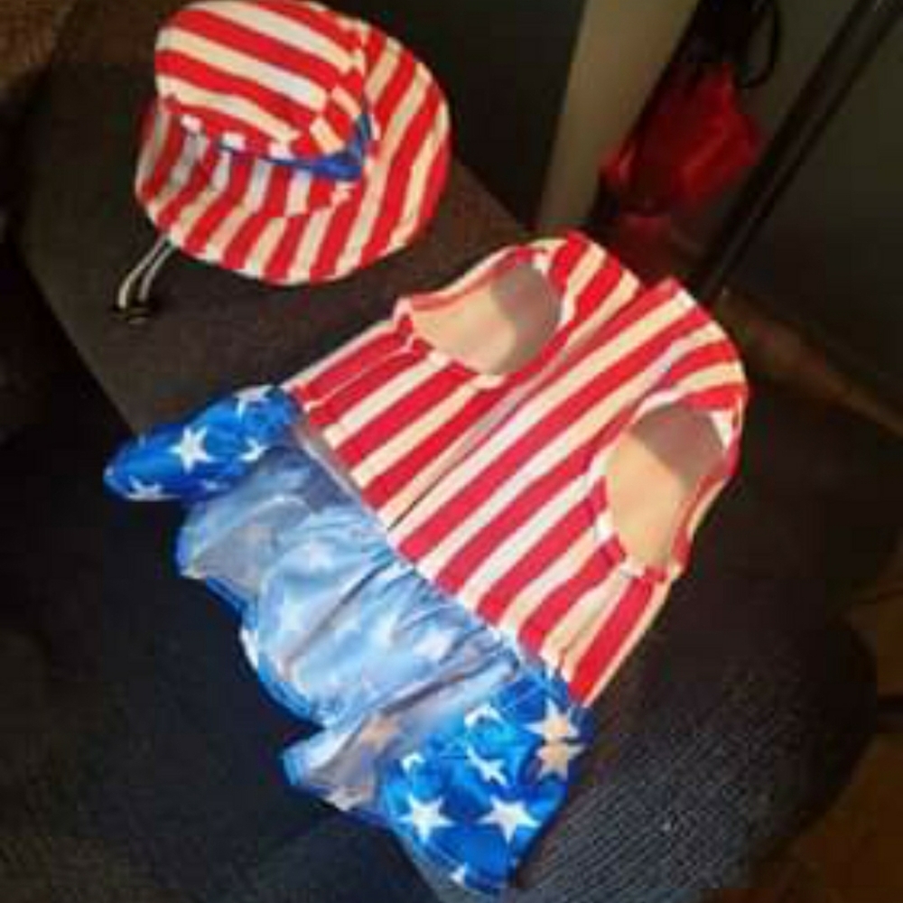 Patriotic dog/cat dress with hat.